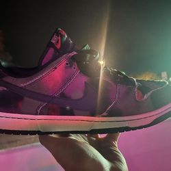 Nike SB  Shoes Sz 14  Sz 13 Book