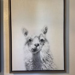 Llama Canvas