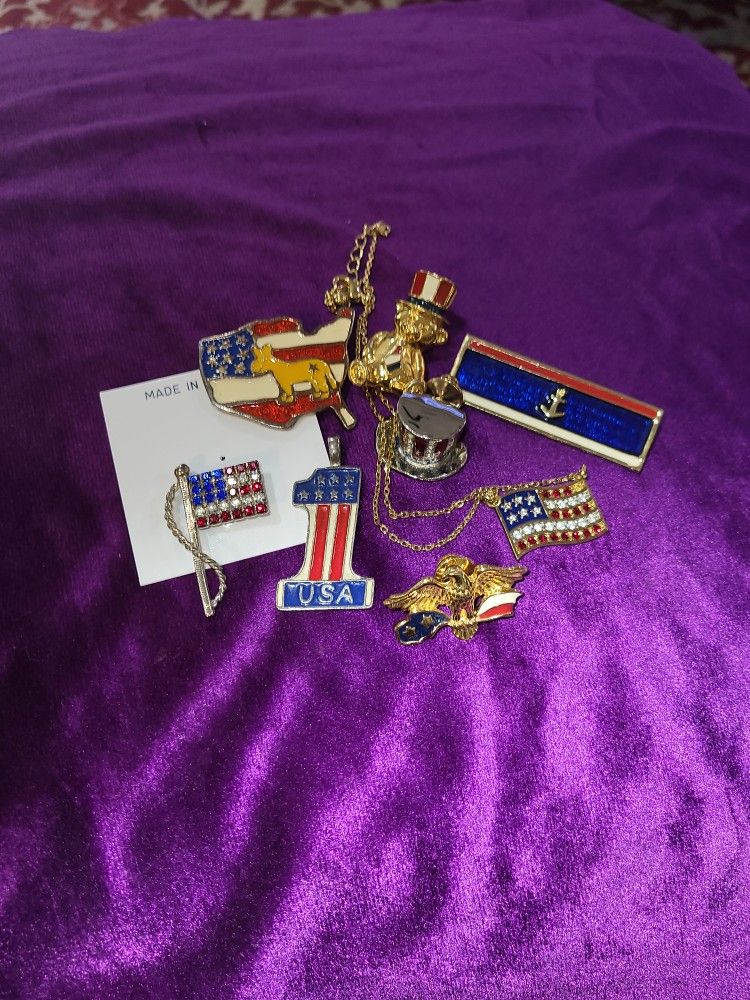 Patriotic Pin Set 😉