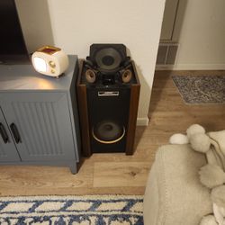 Bose 601 Speakers With Amps