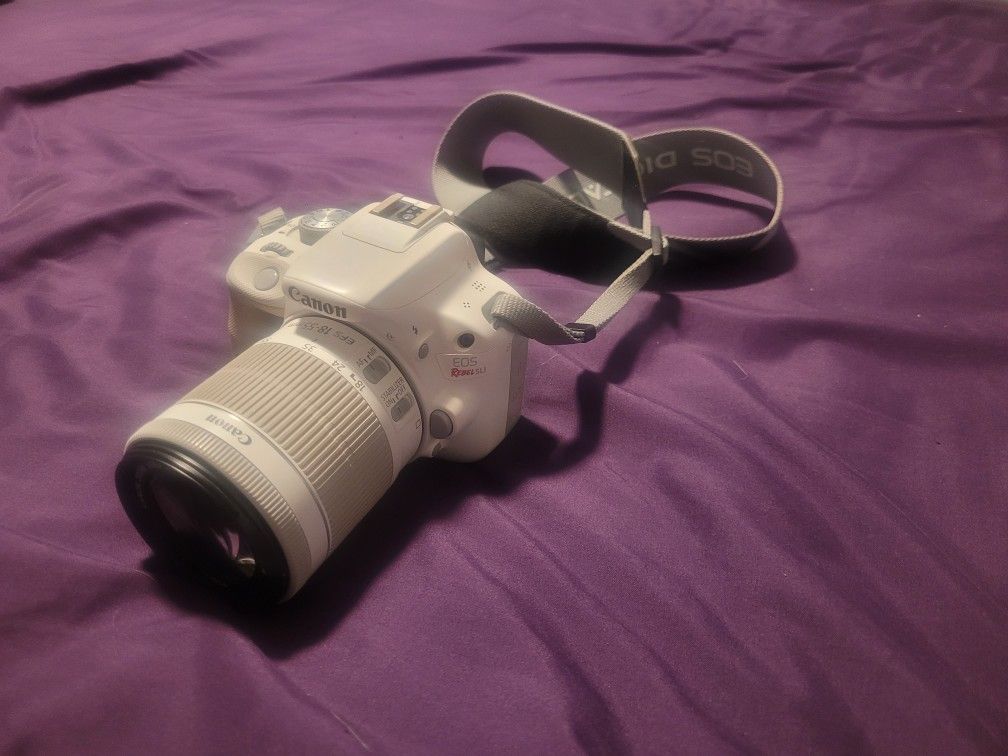 Canon EOS Rebel SL1 with 18-55mm Lens.
