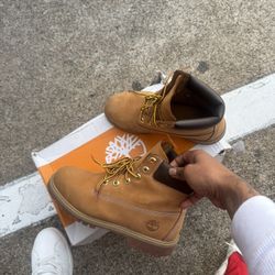 Timberlands 