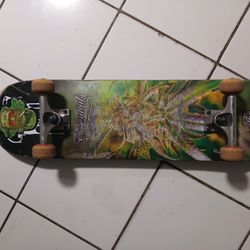 Skateboard 8.0 By Essentials Skateboarding Co