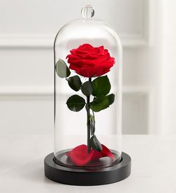 Forever rose