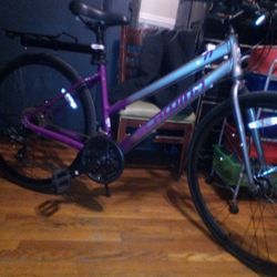 Ladies Schwinn Hybrid RoadBike NEW!!!