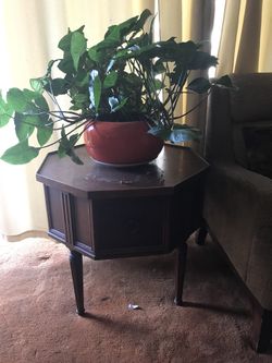 Nice table & a beautiful plant!!!!
