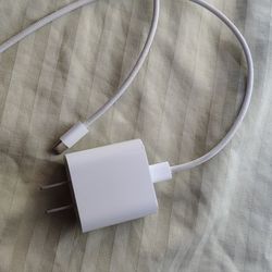 iPhone Charger