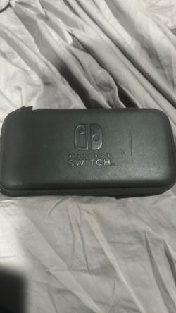 Nintendo light case