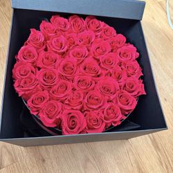 Magnificent Forever Roses