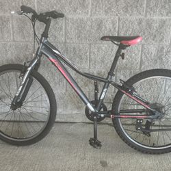 Liv Enchant Kids/teenager Bike.