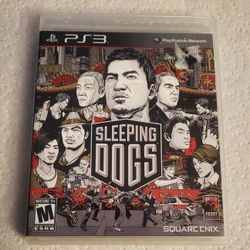 Sleeping Dogs (PS3)