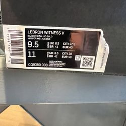 LeBron witness 9 1/2 for sale $125.