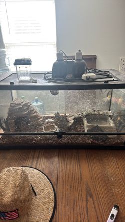 40 gallon tank