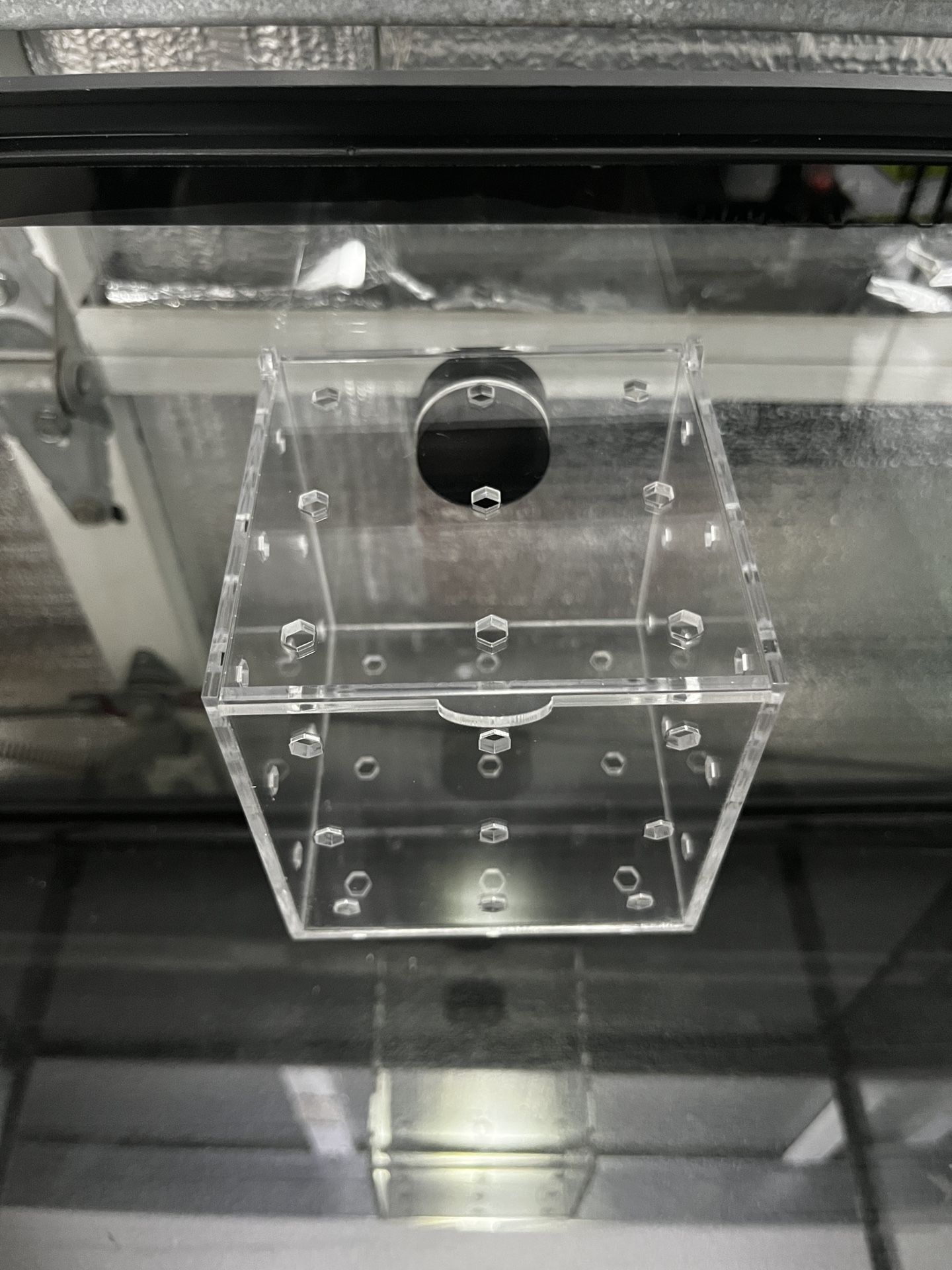 Acrylic Nem And Shroom Box