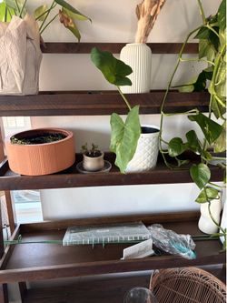 Wood Plant Shelf / Display Stand - $50 OBO