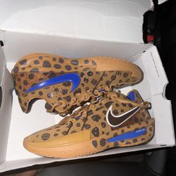 Jordan Poole basketball shoes 