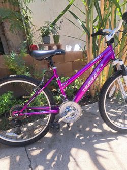 24" bike in really good condition everything works properly ready to ride