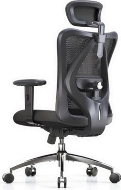 SIHOO M18 Ergonomic Office Chair, High Back Mesh Desk Chair with Adjustable Head
