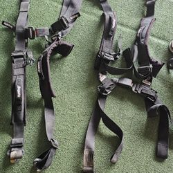 Dragon Fire Harness