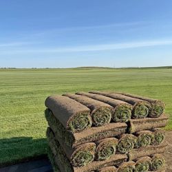Sod &grass