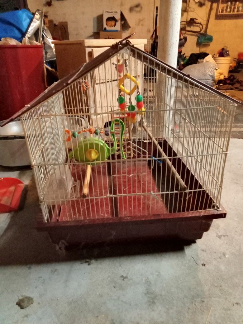 Bird Cage 