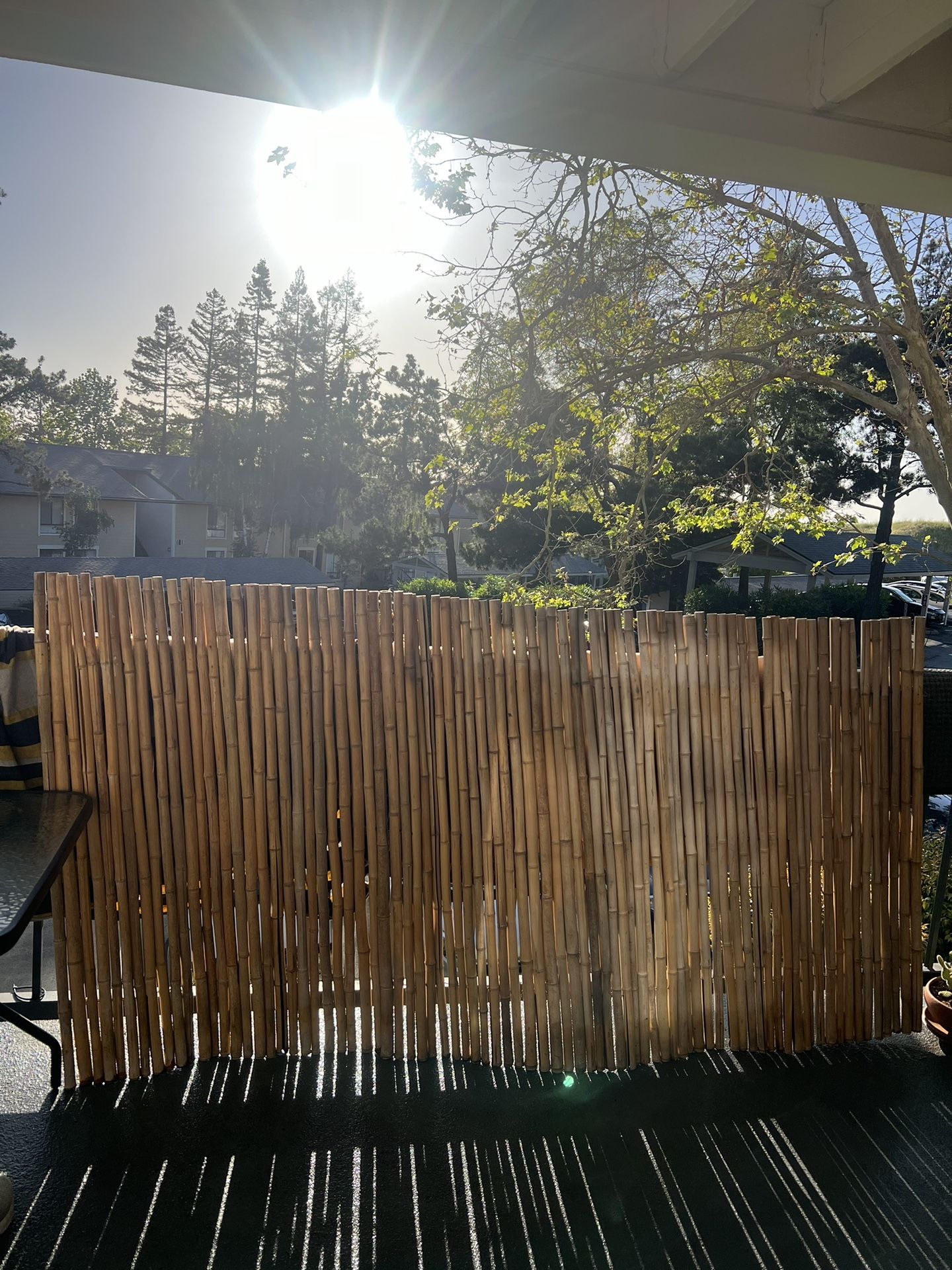 Real Bamboo Fence