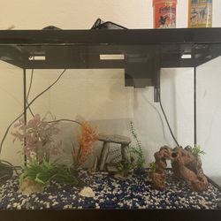 30 Gallons Fish Tank