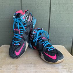 Nike Shoes LeBron James Chromosome Basketball Shoes 684593-006 Mens Size 9.5