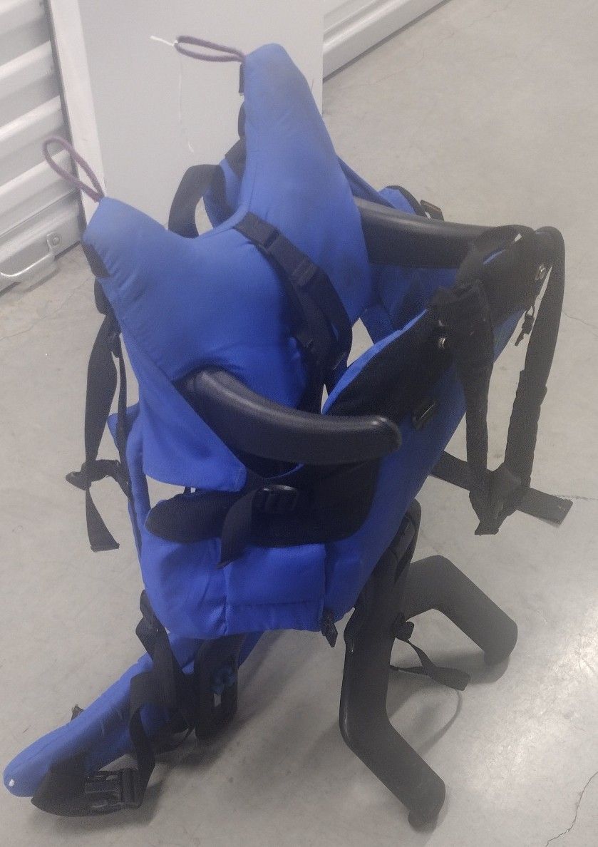 Graco Hiking Backpack