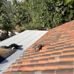 Clay Roofing 