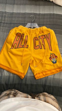 Jordan “All City” Mesh Shorts 🔥 Size L – Clean Condition
