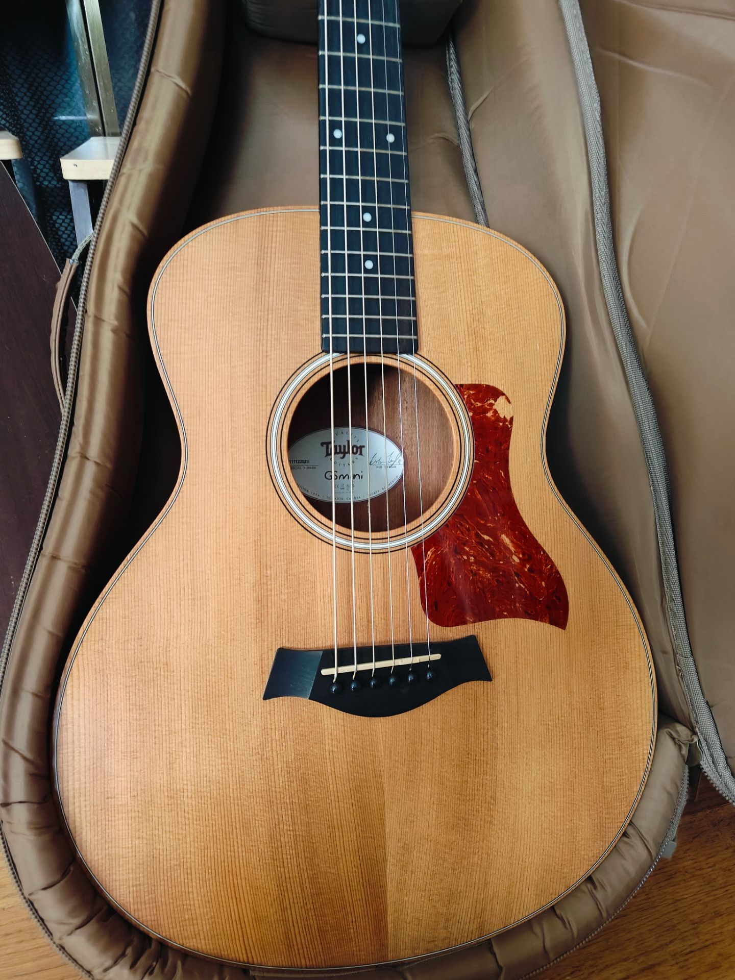 Taylor GS Mini Acoustic Guitar with Taylor's Gigbag