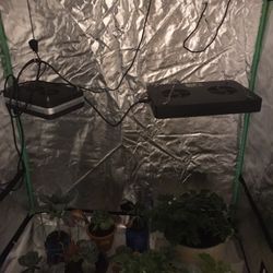 Grow Room With Two Lights 
