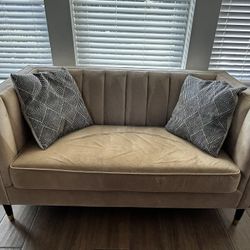 World Market Exclusive Velvet Loveseat