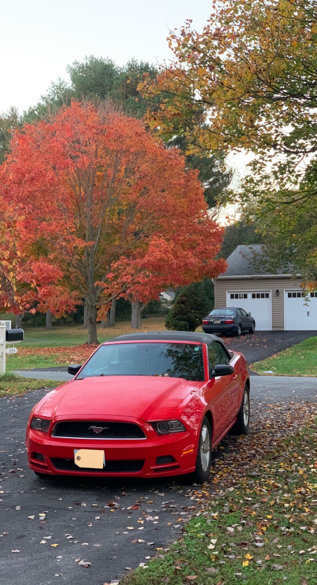 2013 Ford Mustang