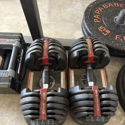 Bowflex 552 Dumbells