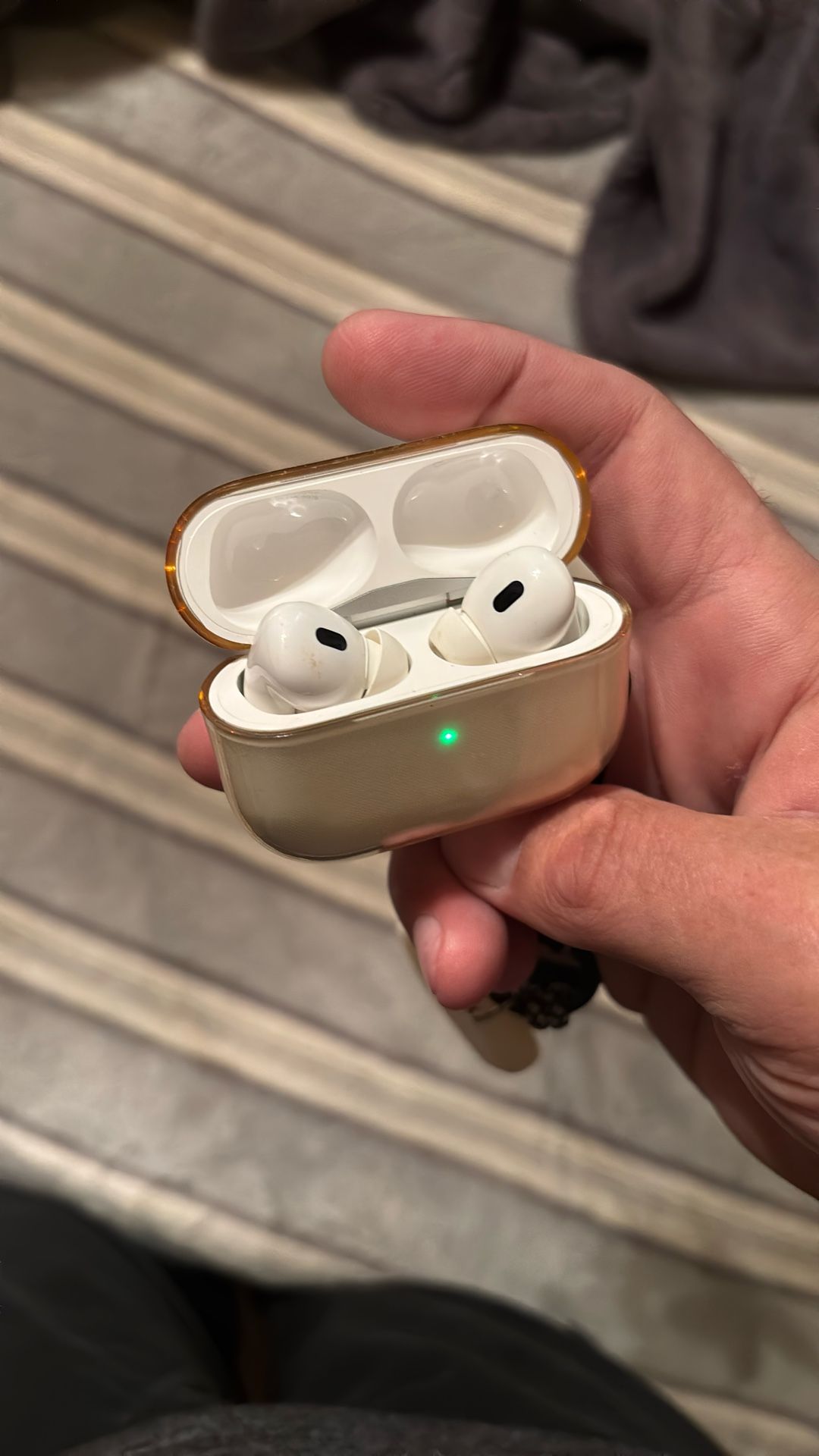 Apple Earphones