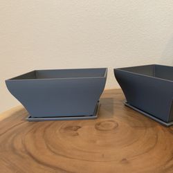 Bonsai Plant Pots