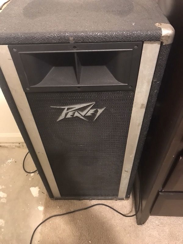 2 Peavy passive speakers very loud