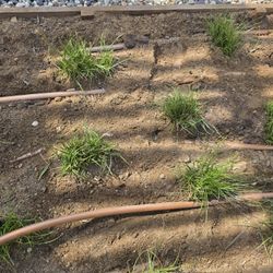 Irrigation Valves