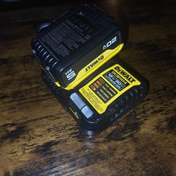 DeWalt 20v 5AH Battery/Charger.