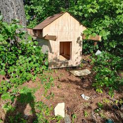 Got Several Dog Houses Brand New $100 A Piece Negotiable You Have To Pick Up