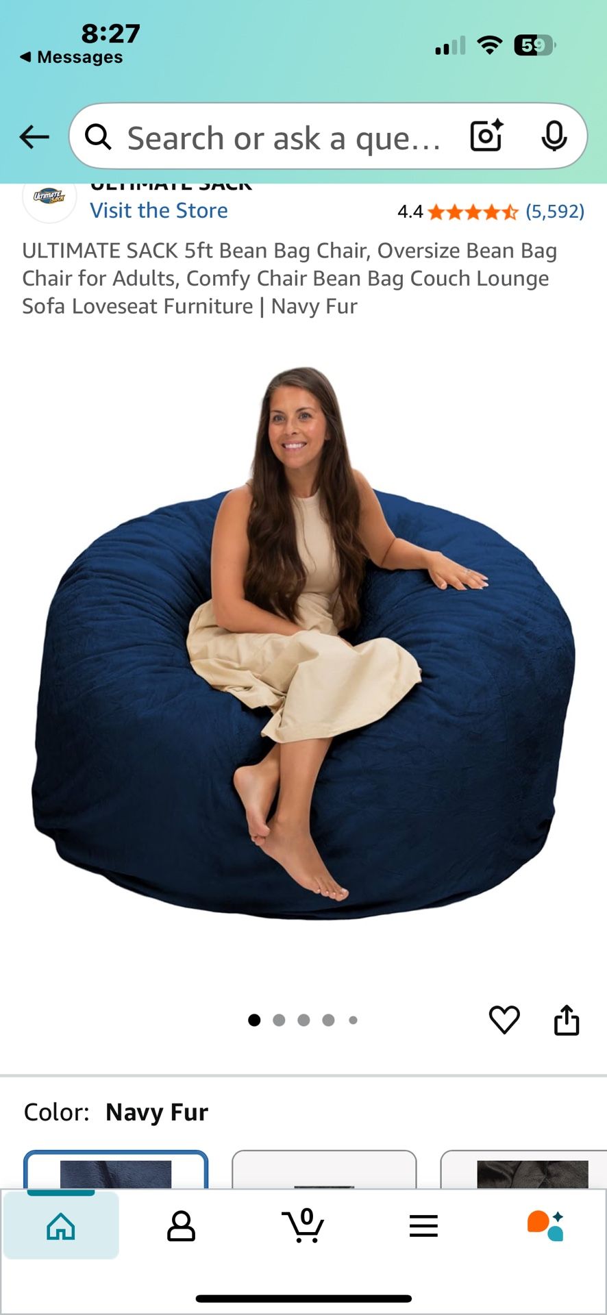 Ultimate Bean Bag Chair