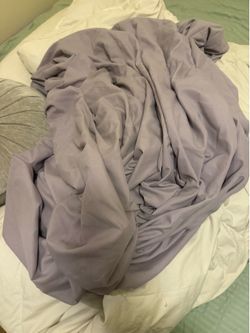Lavender duvet cover and two shams