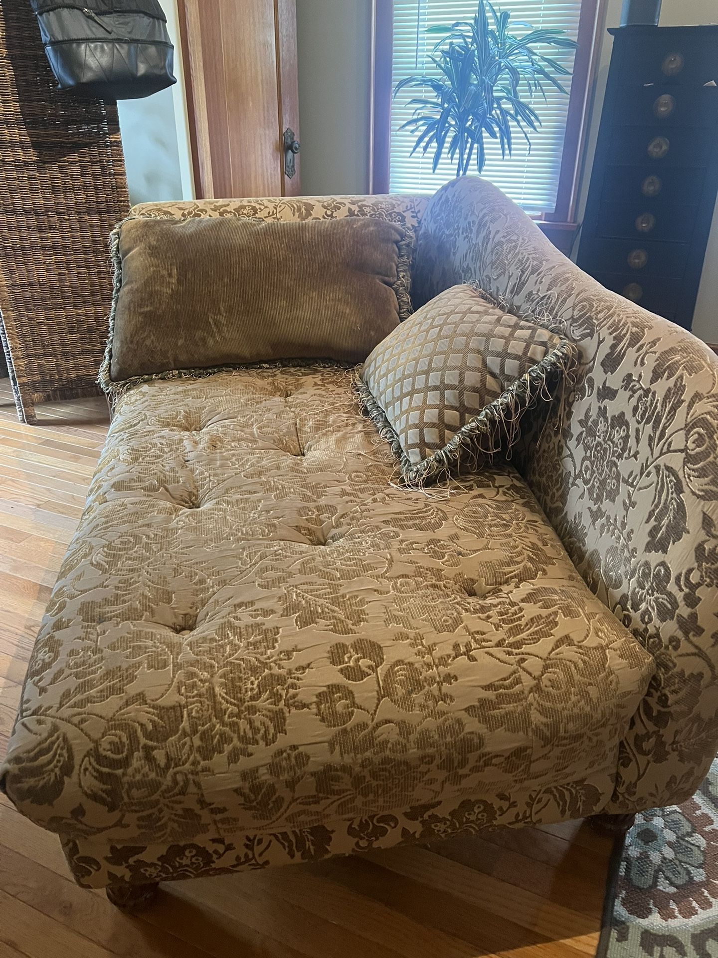 Chaise Lounger