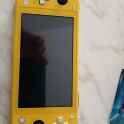 1st Generation Nintendo Switch Lite