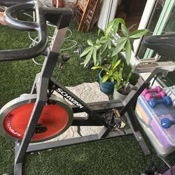 Spinning Bike - Johnny G - Spinner Elite 