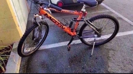 Motiv Mountain Bike Orange