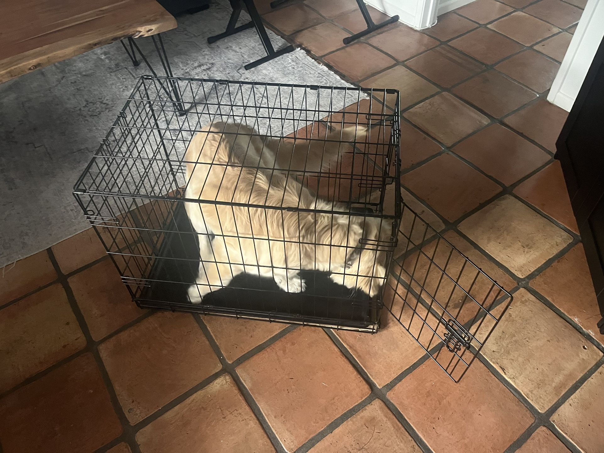 Folding Dog/Puppy Crate