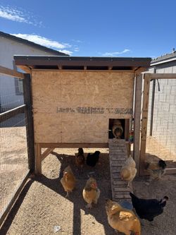 Chicken Coop For Sale!